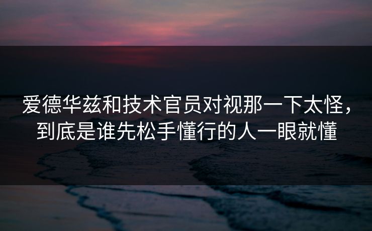 爱德华兹和技术官员对视那一下太怪，到底是谁先松手懂行的人一眼就懂