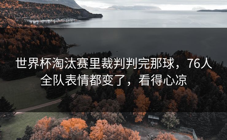 世界杯淘汰赛里裁判判完那球，76人全队表情都变了，看得心凉