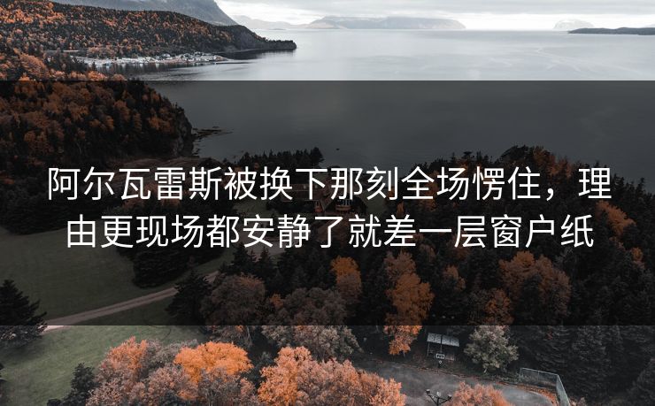 阿尔瓦雷斯被换下那刻全场愣住，理由更现场都安静了就差一层窗户纸