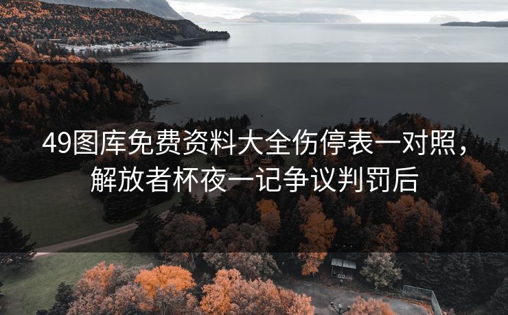49图库免费资料大全伤停表一对照，解放者杯夜一记争议判罚后